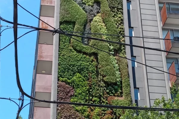Consorcio Quartier Dorrego - Cara Amenabar