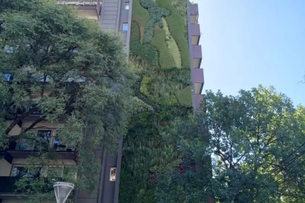 Consorcio Quartier Dorrego - Cara Dorrego