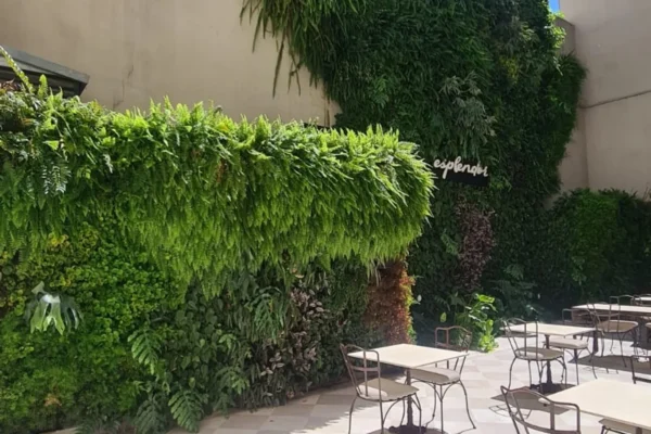 Hotel Esplendor Tango (5)