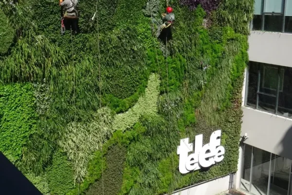 TELEFE-MANT2018 2